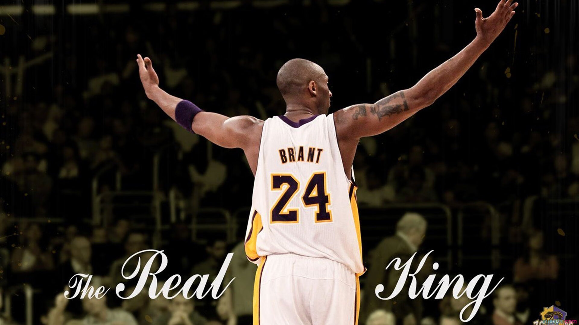 西班牙球员赫佐尼亚可能重返NBA，NBA球队对其感兴趣，西班牙队门将德赫亚