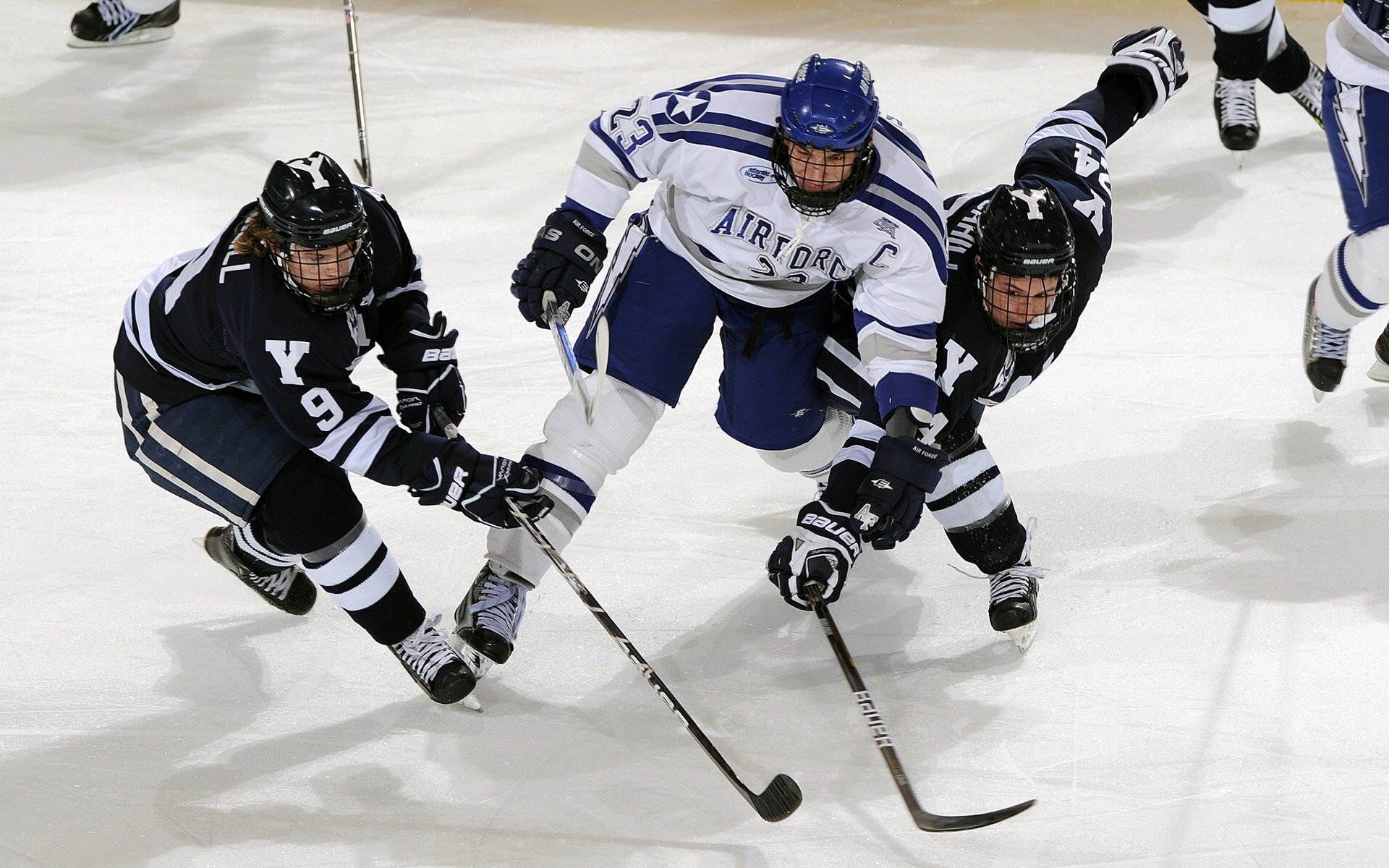 青训优秀作品频频获奖,推动青少年运动教育不断创新,青少年运动培训