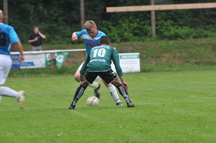 中国足球队体能训练系统研究,中国足球队体能训练系统研究论文