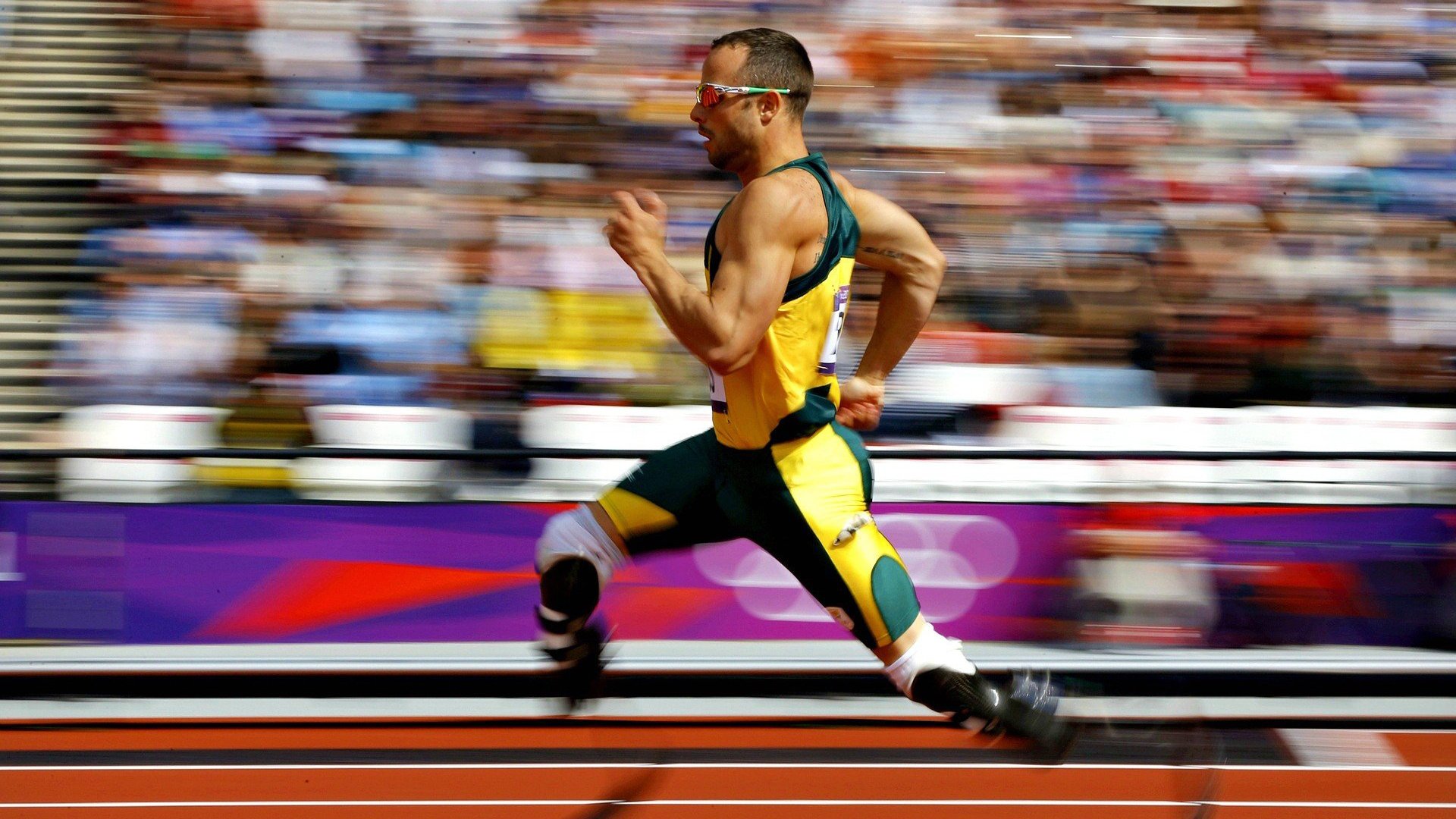 体育新闻中心发布体育传播技术演进路径研究成果，体育传播效果