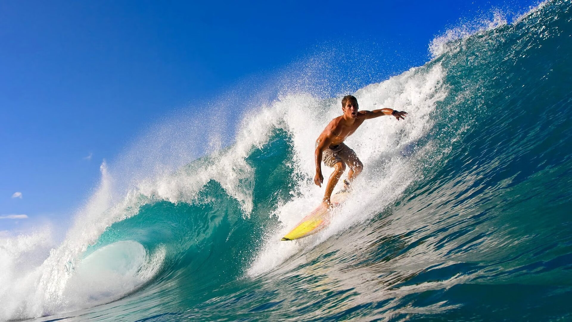 未来挑战：Chinese Taipei团队如何迎接更大国际赛事