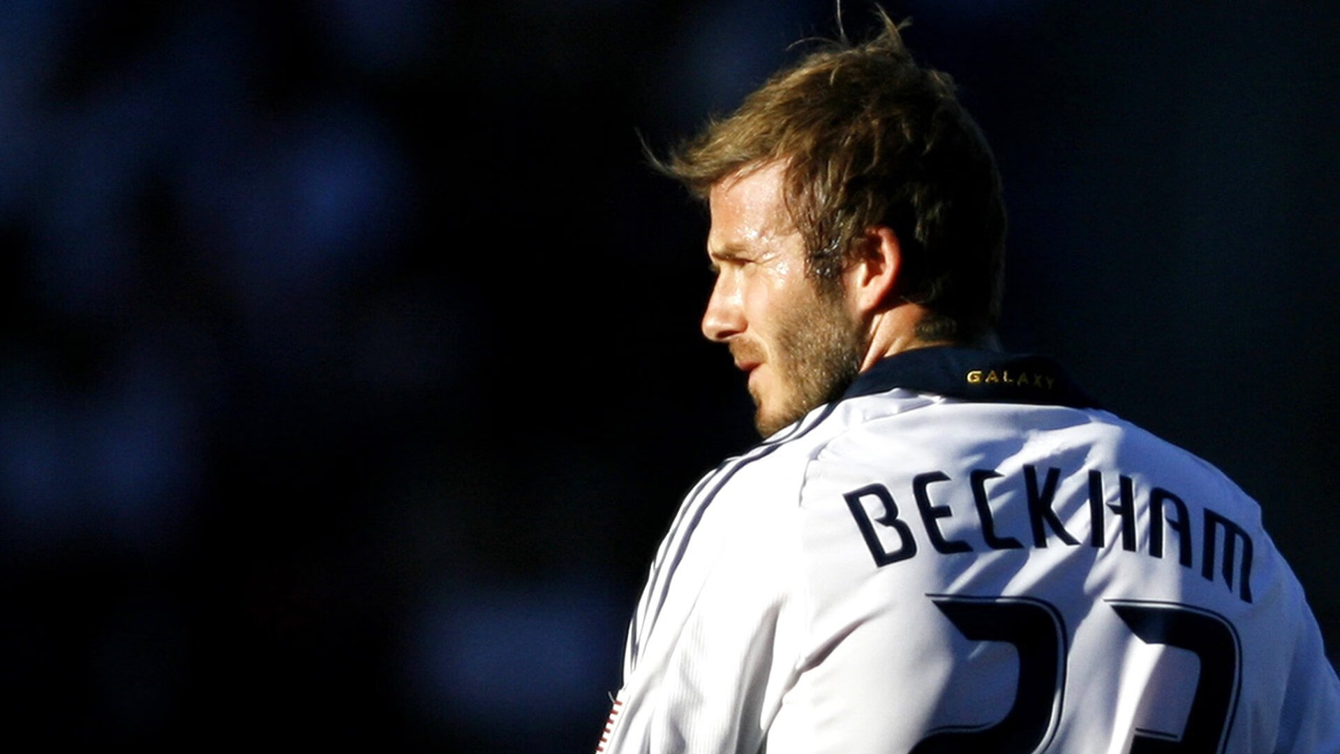 “绿色环保+智能场馆：未来运动场景向可持续发展迈进”，智能化场馆建设